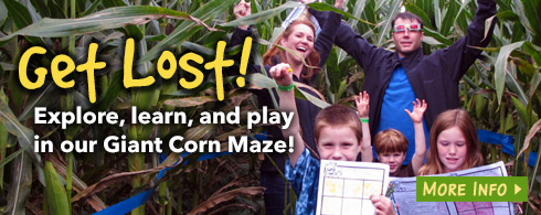 Giant Corn Maze Adventure